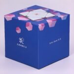 DY Skewb V2M 01 1 1 small